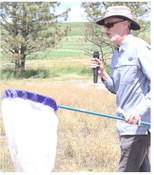 Research Day Includes Information About Grasshoppers Research Day Includes Information About Grasshoppers