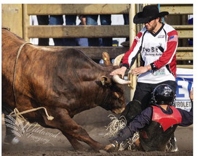 Bullfighter Looks Forward To Stampede Bullfighter Looks Forward To Stampede