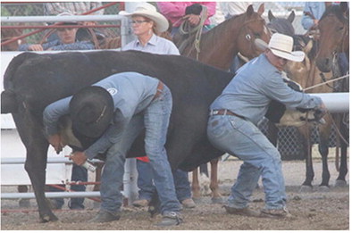 First Wild Horse Ranch Rodeo Starts Off Fun Week