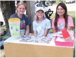 Lemonade Stand Lemonade Stand