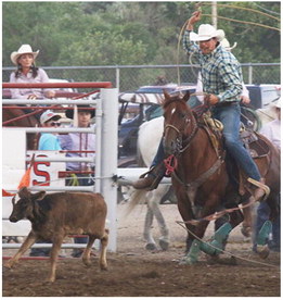 Fans See Outstanding Rodeo  Performances During Stampede