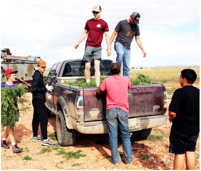 Cowboys Show Community Spirit Cowboys Show Community Spirit