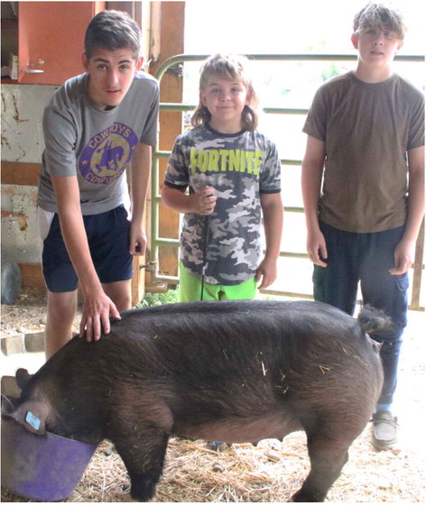 County Fair Culbertson Students Learn While Preparing For Fair County Fair Culbertson Students Learn While Preparing For Fair