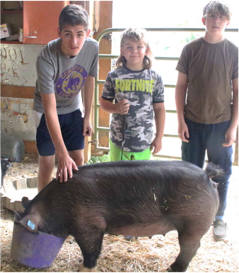 Brothers Learn While Getting Ready For Fair