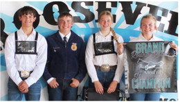Contestants Win Livestock  Honors During County Fair