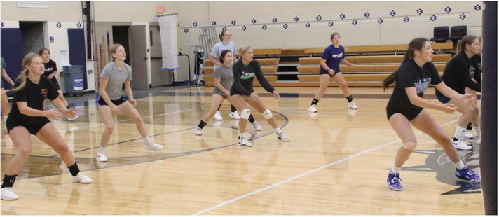 Bulldogs Shoot For Success During Volleyball Season