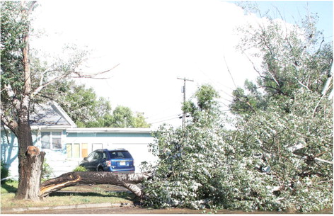 Powerful Storm Causes Damage In City