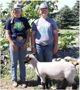 Berwick Sisters Continue Preparations For Roosevelt County Fair Berwick Sisters Continue Preparations For Roosevelt County Fair