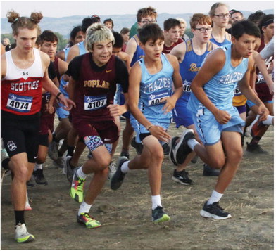 Area Runners Compete At Frazer Invitational