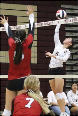 Lady Wolves Take Over First Place With Win Over Scotties Lady Wolves Take Over First Place With Win Over Scotties