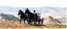 Culbertson Wagon Train Culbertson Wagon Train