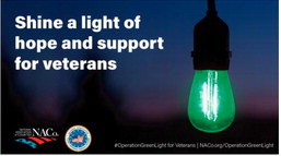 County Announces Support For Veterans Day County Announces Support For Veterans Day