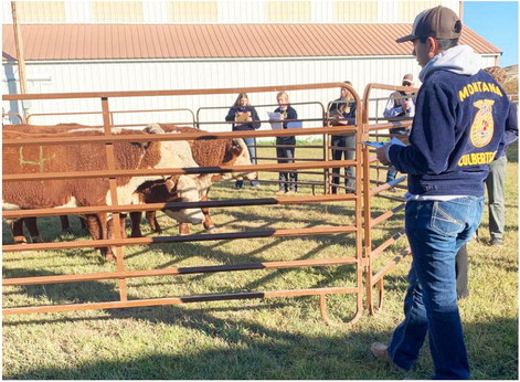 Culbertson FFA Qualifies For State