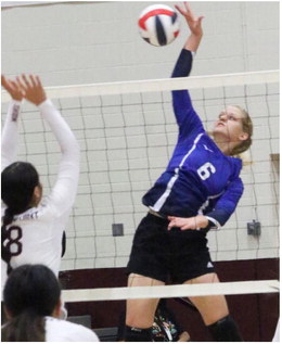 Lustre Downs Nashua Team Lustre Downs Nashua Team