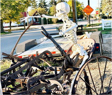 Skeletons, Scouts Skeletons, Scouts
