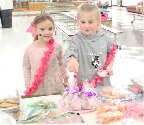 Wolves Bring Awareness Through Pink Night Wolves Bring Awareness Through Pink Night