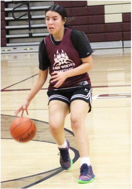 Lady Wolves Aim For Return Trip To State