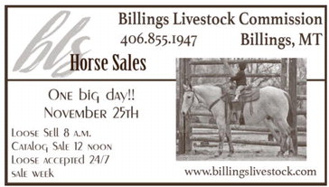 11_23_a_pg8_art_6 11_23_a_pg8_art_6