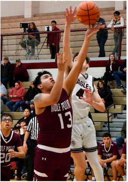 Wolves Lose Battle In Sidney