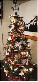 Festival Of Trees Festival Of Trees