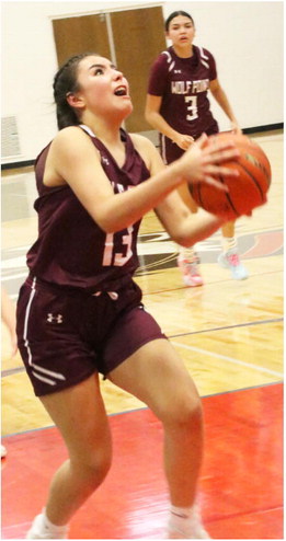 Lady Wolves Drop Conference  Opening Contest In Glasgow