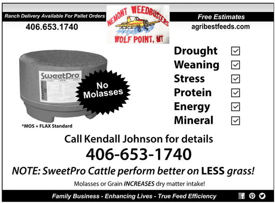 02_29_a_pg12_art_7 02_29_a_pg12_art_7