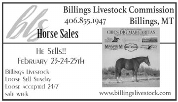 02_15_a_pg12new_art_4