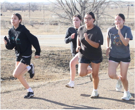 Poplar Track Enjoys Good Turnout For Season Poplar Track Enjoys Good Turnout For Season