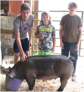 Montana 4-H Leads In Youth Development Montana 4-H Leads In Youth Development