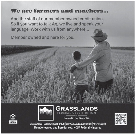 04_11_a_pg11_art_8 04_11_a_pg11_art_8