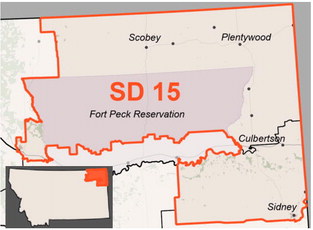 Hunter To Challenge Rhonda Knudsen For SD15 Hunter To Challenge Rhonda Knudsen For SD15