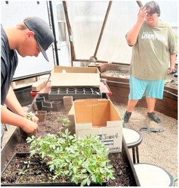 Greenhouse Produces Products, Lessons At School Greenhouse Produces Products, Lessons At School