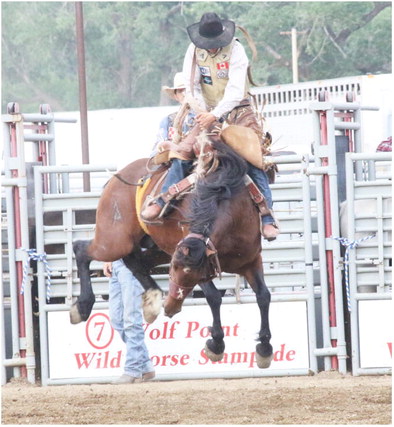 Rodeo Action Rodeo Action