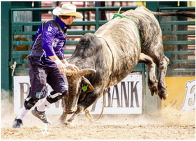 Harrell, Simmes To Serve As Bullfighters At Stampede