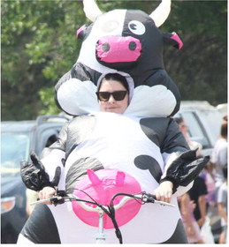 Milk Run Milk Run