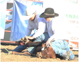 Reid Ranch Reid Ranch