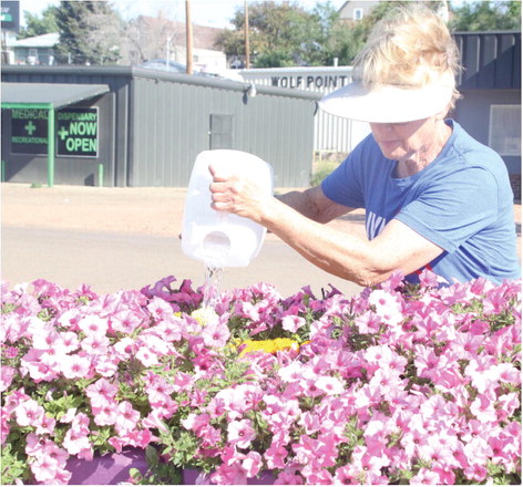 Beautification Committee Beautification Committee