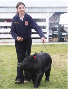 Students Claim Honors During Roosevelt County Fair