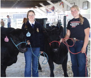 Johnson Sisters Earn Honors During Fair Johnson Sisters Earn Honors During Fair
