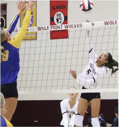 Lady Wolves Fall To Scobey Lady Wolves Fall To Scobey