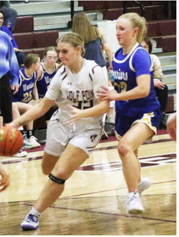Lady Wolves Fall To Fairview, 47-33 Lady Wolves Fall To Fairview, 47-33