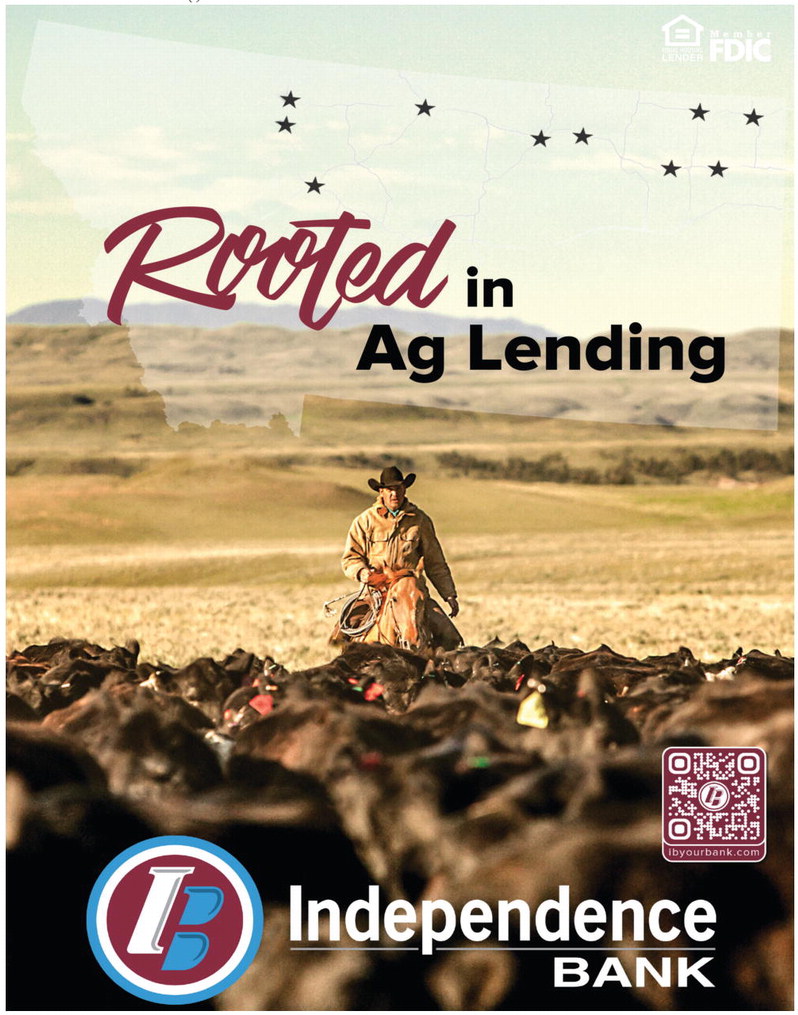 02_06_b_18_art_0 02_06_b_18_art_0