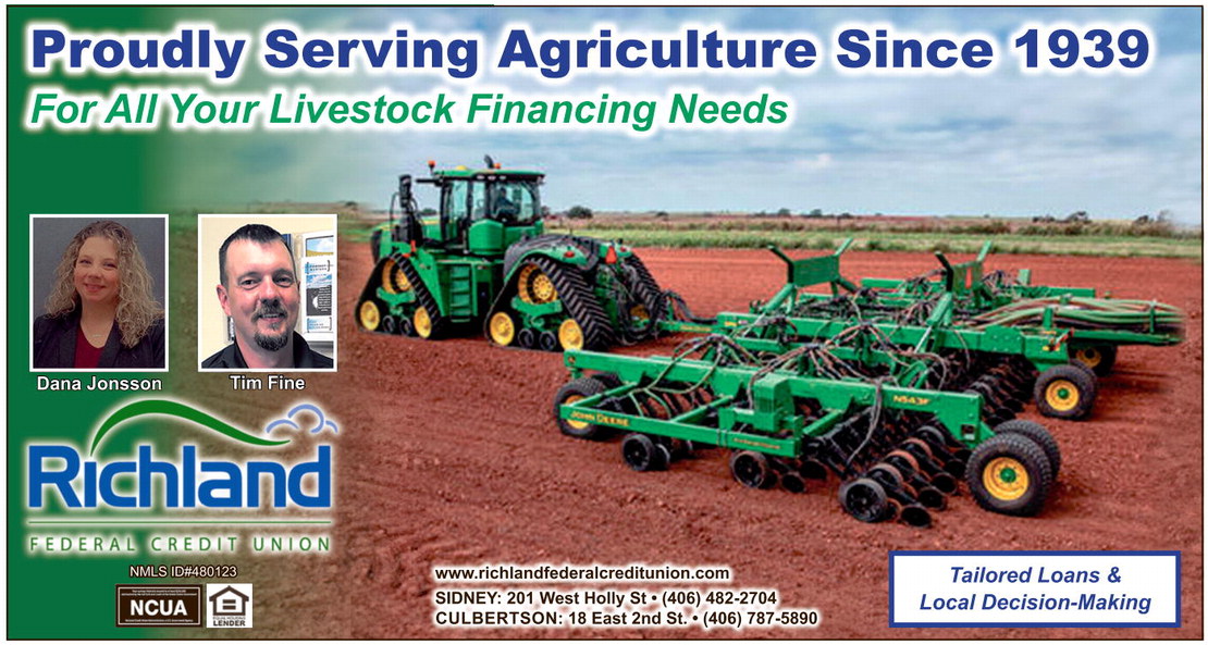 npid_051525_01_a_003_00_01_cc_art_4