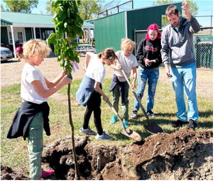 Froid Plants Trees For Arbor Day