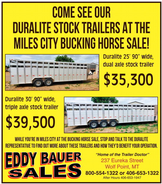 npid_051525_01_a_002_00_01_cc_art_4