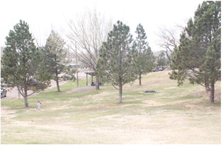 Visitors’ Stop Council Member Has Vision For Nellie’s Park