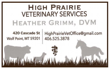 npid_051525_01_a_008_00_01_cc_art_7