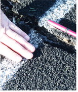Purchase Of Bus Approved Trustees Table Decision On Track Repairs