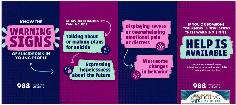 npid_061225_01_a_003_00_01_cc_art_3