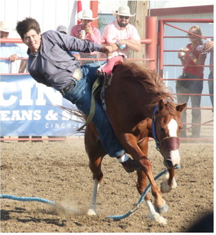 Wild Horse Race Held In Memory Of Family Members